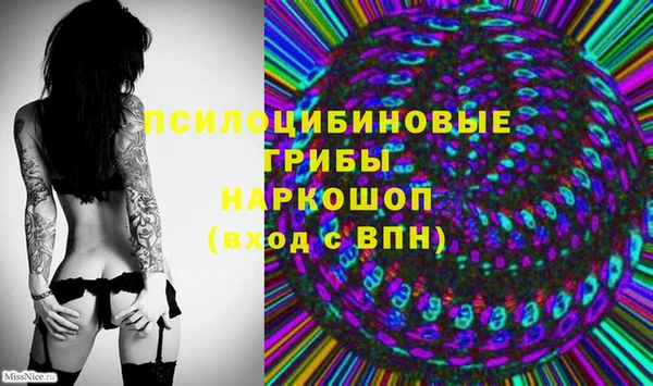 прущая мука Няндома