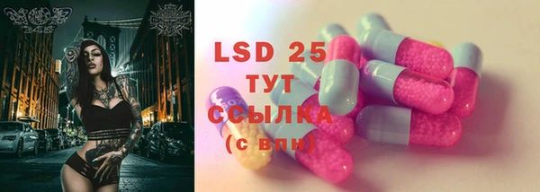 гидра Новозыбков