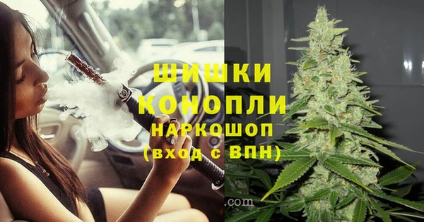 прущая мука Няндома