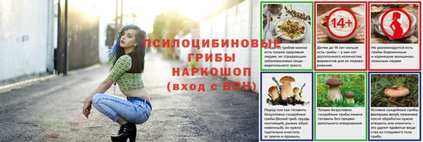 прущая мука Няндома